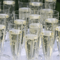 Nena Unbreakable Polycarbonate Plastic Champagne Flute 150ml