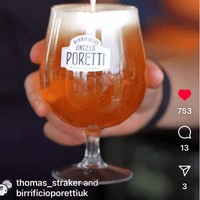 Snifter Unbreakable Tritan Plastic Belgium / Craft Beer Glass 516ml / 18.3oz