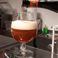 Snifter Unbreakable Tritan Plastic Belgium / Craft Beer Glass 516ml / 18.3oz