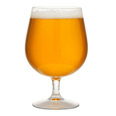 Snifter Unbreakable Tritan Plastic Belgium / Craft Beer Glass 516ml / 18.3oz