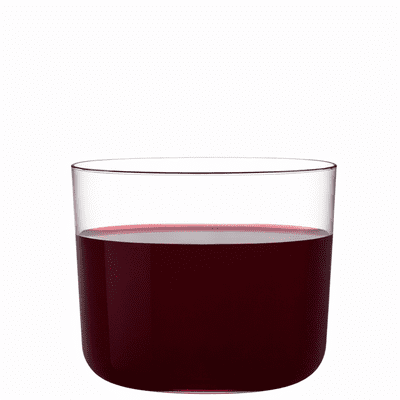 Spanish Small Stacking Bodega Wine Glasses SAN Plastic 230ml
