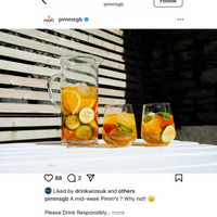 Summer Pimms Jug and Stemless Glasses Set  in Unbreakable Tritan Plastic