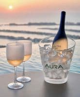 Syrah Unbreakable Polycarbonate Large Spritzer Glasses 475ml
