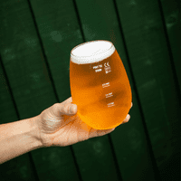 Taproom Pint Glass Unbreakable Tritan Plastic CE lined 1/3, 1/2, 2/3 & Pint-to-Brim