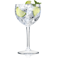 Torino Unbreakable Polycarbonate Copa Plastic Gin Balloon Glass 400ml