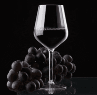 Ultra Premium Decanter & Wine Glasses Set Unbreakable Tritan Plastic 3 piece