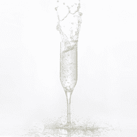 Ultra Premium Unbreakable Polycarbonate Plastic Highball Champagne Flute 200ml