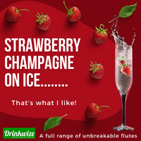 Ultra Premium Unbreakable Polycarbonate Plastic Highball Champagne Flute 200ml