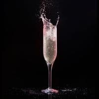 Ultra Premium Unbreakable Polycarbonate Plastic Highball Champagne Flute 200ml