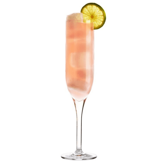 Ultra Premium Unbreakable Polycarbonate Plastic Highball Champagne Flute 200ml