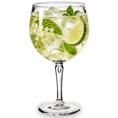 Unbreakable Polycarbonate Plastic Gin Glass 470ml