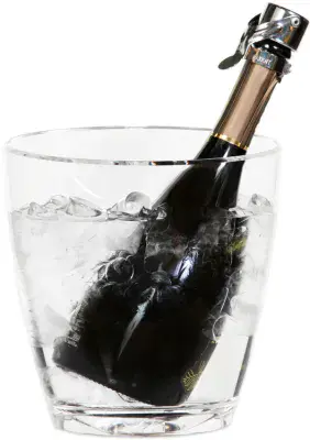 Virtually Unbreakable Ice Bucket (1-2 bottles)