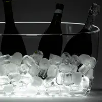 Virtually Unbreakable Ice Bucket with LED light-up base (4 bottles)