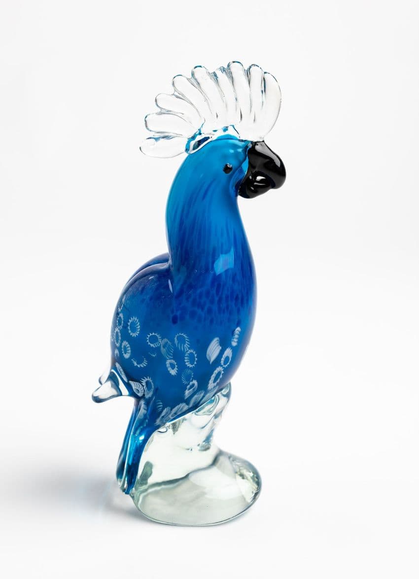 blue parrot