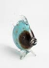 glass fish
