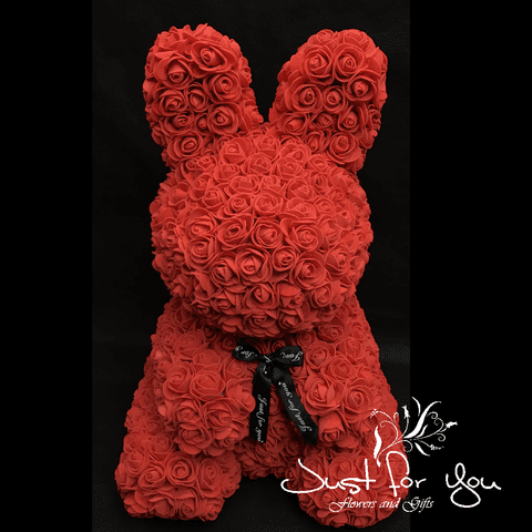Large red Bunny in Presentation box