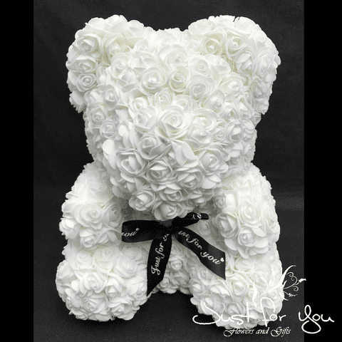 Medium white teddy in Presentation box