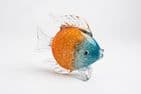 orange- blue fish