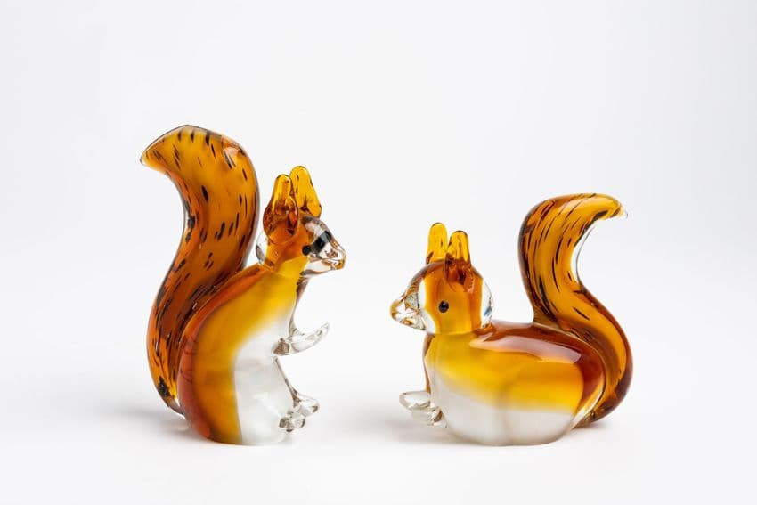 Pair of Squirrel