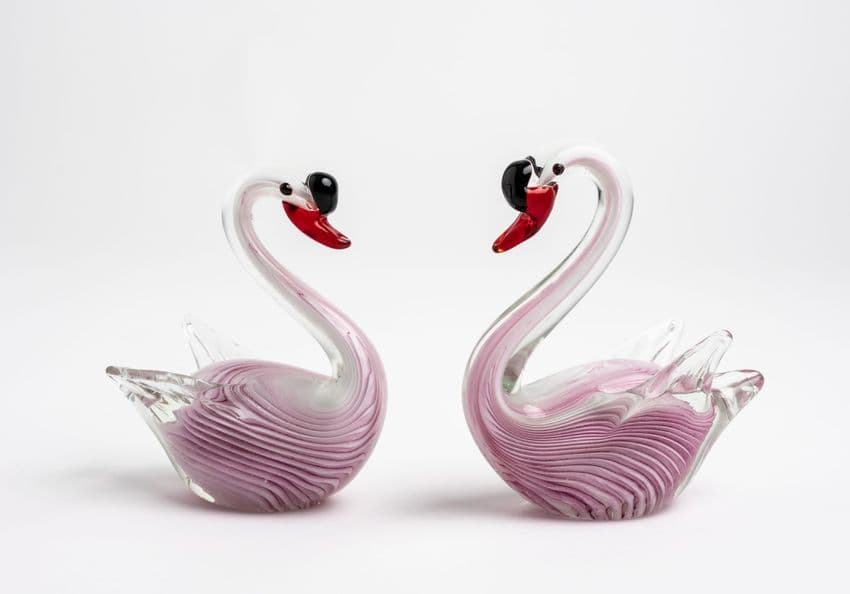 Pink Swans