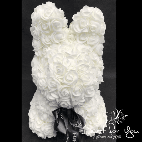 Small white Bunny in Presentation box