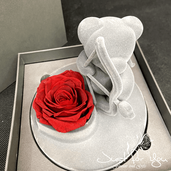 Stunning top quality infinity Amūre Teddy bear holding a rose in beautiful matching box