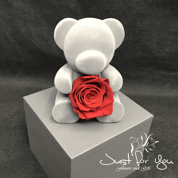 Stunning top quality infinity Teddy bear holding a rose in beautiful matching box