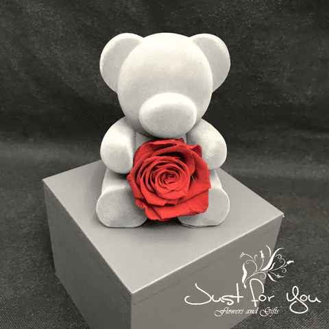 Stunning top quality infinity Teddy bear holding a rose in beautiful matching box