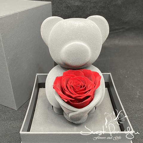 Stunning top quality infinity Teddy bear with a rose in beautiful matching box