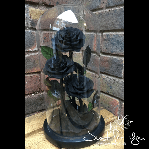 Trio Black everlasting roses