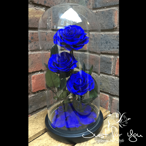Trio Blue everlasting roses