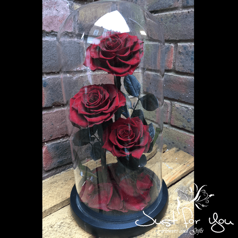 Trio Burgundy everlasting roses