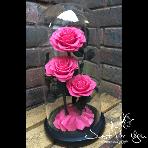 Trio Hot pink everlasting roses