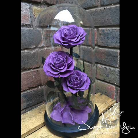 Trio Leander everlasting roses