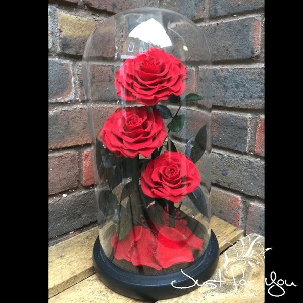 Trio Red Everlasting Rose