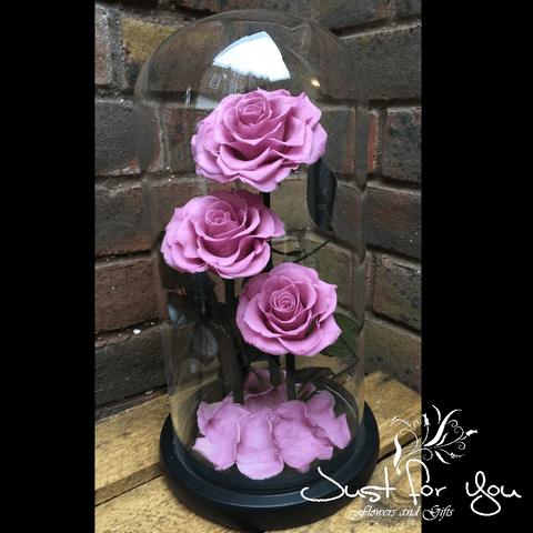 Trio Taro purple ( dusty pink) everlasting roses