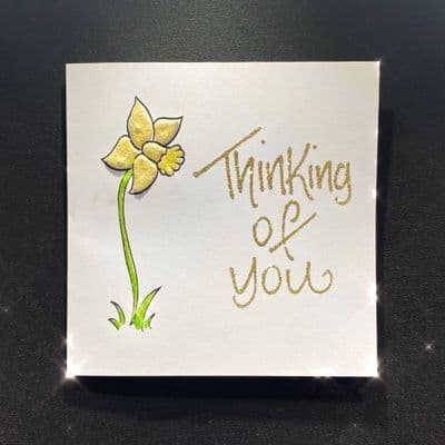 Daffodil; Yellow or White