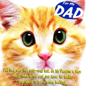 Bashing Fathers Day card