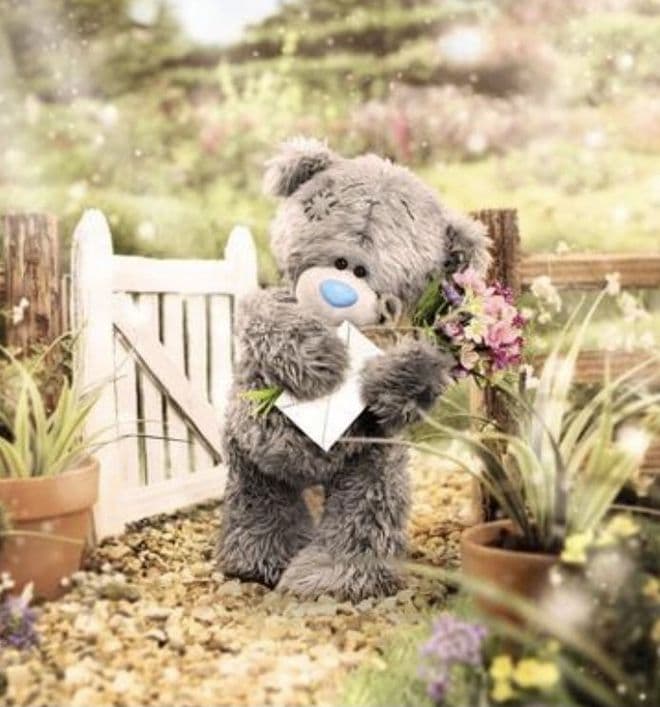 Bear Holding Envelope ( 3D )  Birthday card