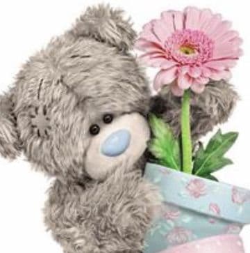 Bear with plant pot (3D ) Birthday card