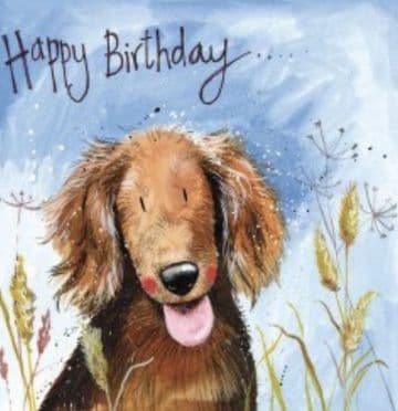 Bertie Birthday card
