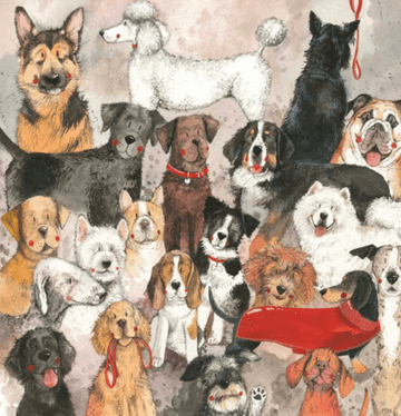 Best of Breed Any occasion greeting card