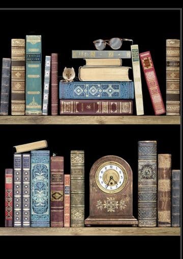 Bookshelves Blank embossed / foiled greeting card