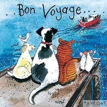 Bye bye Greetings Card