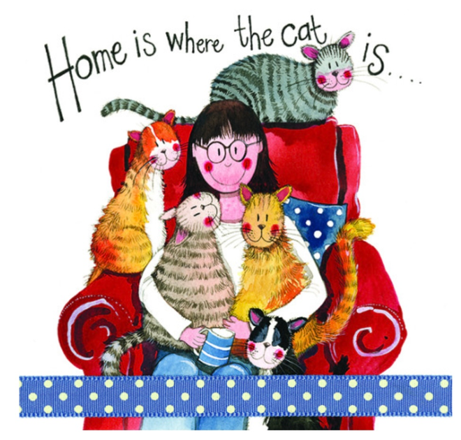 Cat lover  Any occasion greeting card