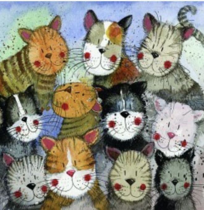 Cats Choir  Any occasion greeting card