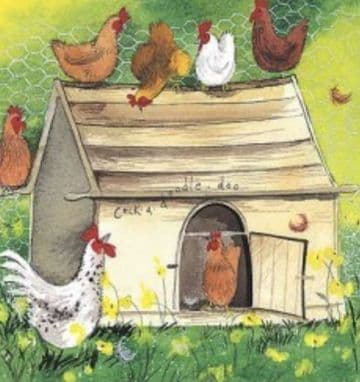 Chicken Coop Any occasion greeting card
