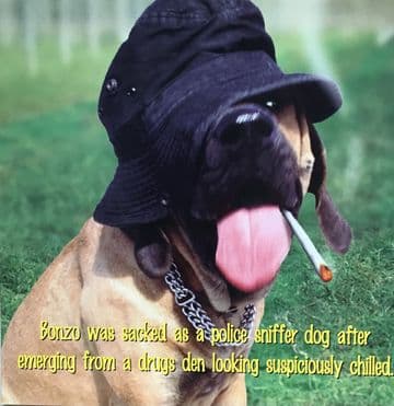 Chilled Greetings Card