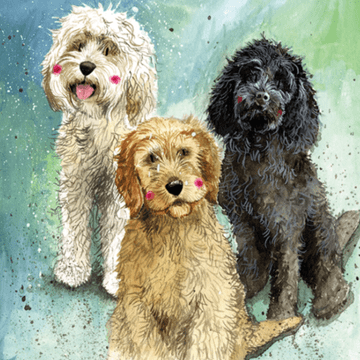 Cockerpoos Any occasion greeting card