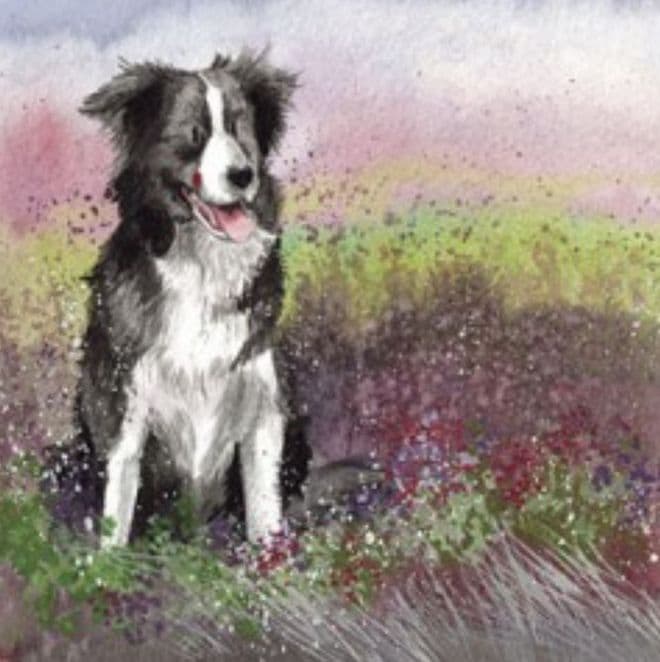 Collie and Heather  Any occasion greeting card